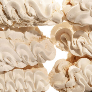 Meringues